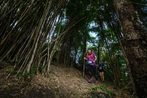 BIB: 
                            <button type="button" onclick="openModal(19396164)" class="btn btn-primary btn-sm float-right btn-popup" data-toggle="modal" data-target=".modal-high-quality">
                        <i class="fas fa-shopping-cart"></i> Add to Cart
                    </button>
                                            <button type="button" onclick="isThisMe(19396164, true)" class="btn btn-success btn-sm float-right btn-popup btn-isme hidden" data-toggle="tooltip" data-placement="bottom" title="นี่คือรูปของคุณใช่ไหม คลิกที่นี่เพื่อเอาเข้าอัลบั้ม">
                        <i class="fas fa-plus"></i> Add to album
                    </button>
                    <button type="button" onclick="isThisMe(19396164, false)" class="btn btn-warning btn-sm float-right btn-popup btn-isnotme hidden">
                        <i class="fas fa-ban"></i> Remove from album
                    </button>